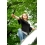 Userbild von HexeCC